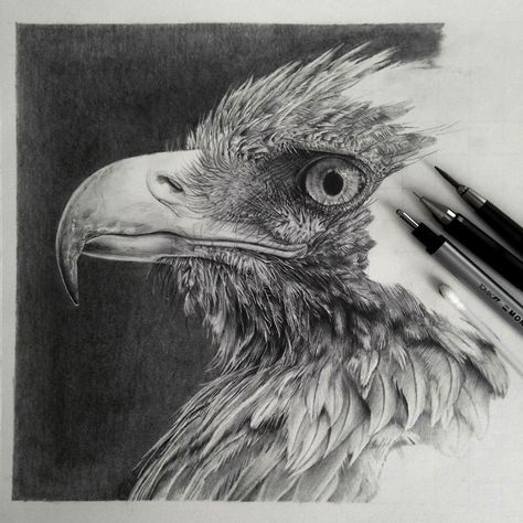 Pencil Arts